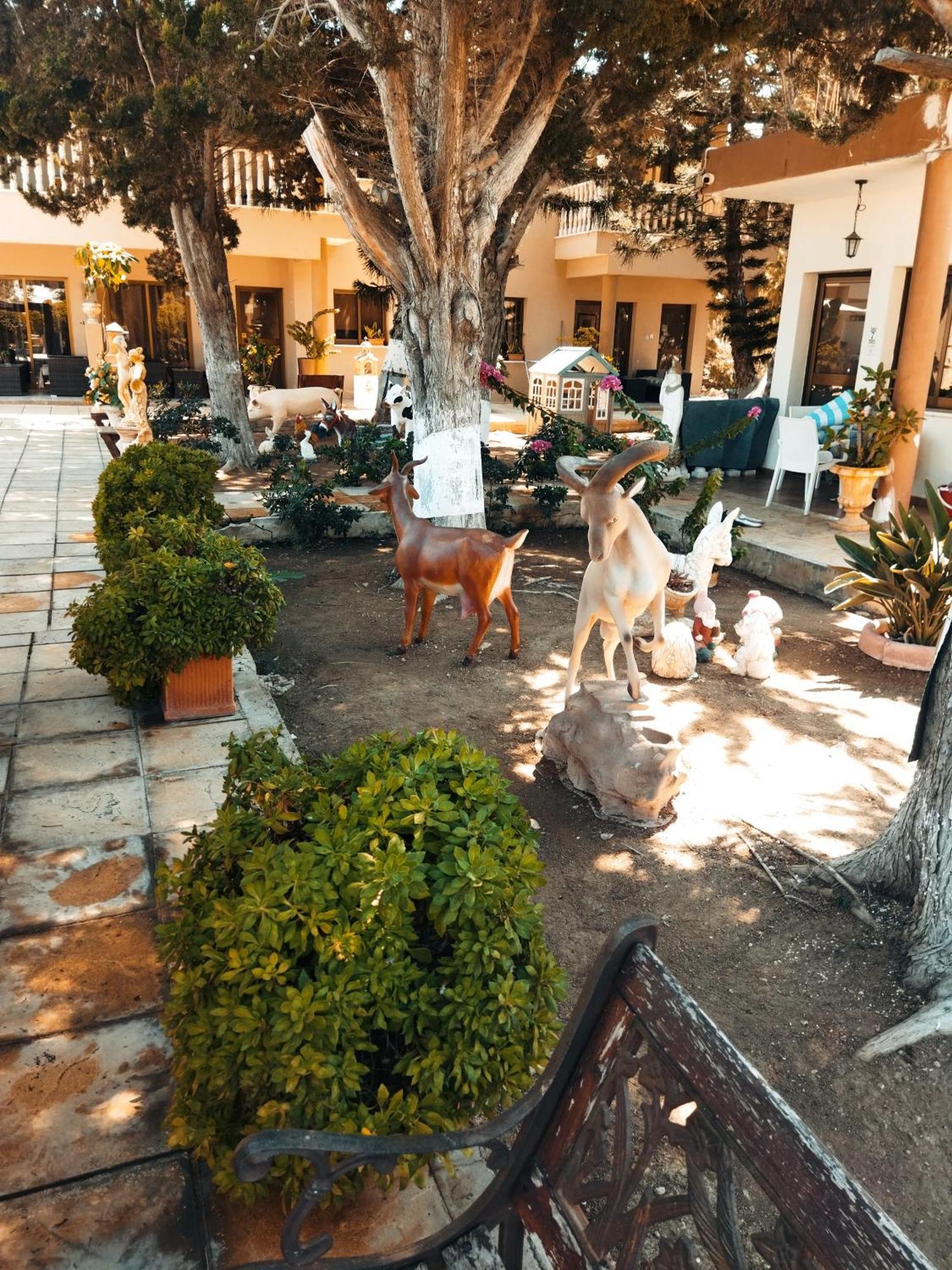 Anastasia Holiday Apartments Paphos Eksteriør billede
